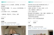 子女测算闲鱼：LABUBU搜索量环比上涨1000%，供不应求下现租赁新形式