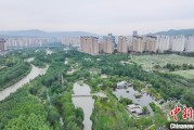 子女测算西宁市举办六五环境日主题宣传活动