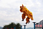 子女测算（文化中国行）壮乡狮舞闯南洋：脚踏“云桩” 饮誉海内外